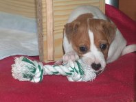 Charlie