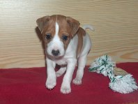 Charlie