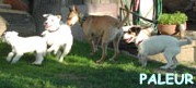 Family meeting I
