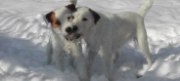 Snow 2007